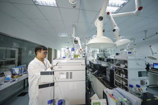 江寧生命科技小鎮(zhèn) 國家級博士后科研工作站領(lǐng)航網(wǎng)絡(luò)技術(shù)研發(fā)與服務(wù)新未來